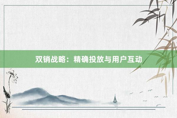 双销战略：精确投放与用户互动